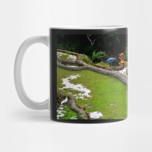 Rizières en terrasse de Banaue, Philippines Mug